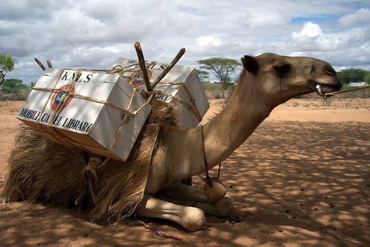 Camel library