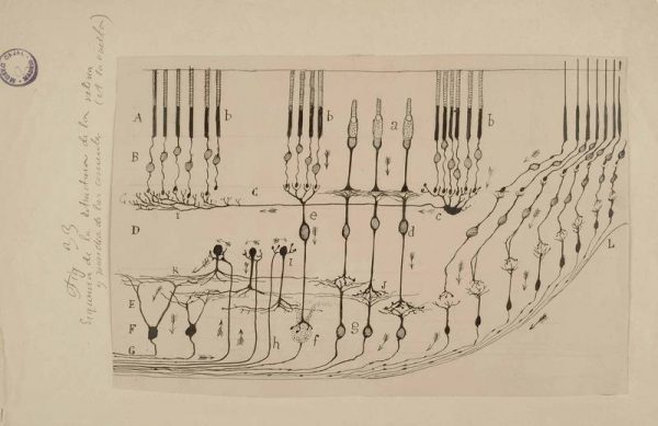 Archivo de Santiago Ramón y Cajal