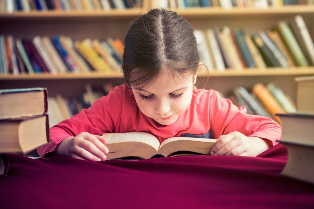 Las bibliotecas escolares son una herramienta necesaria e imprescindible al servicio de las distintas comunidades educativas