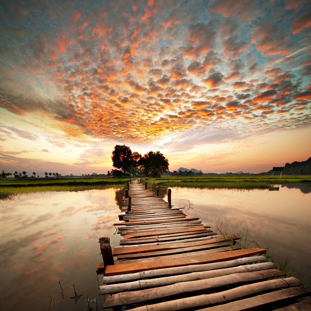 shutterstock_72082513